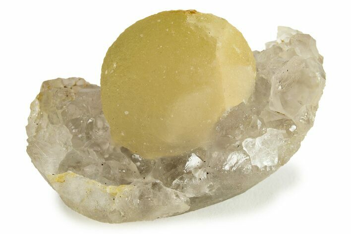 Botryoidal Yellow Fluorite on Quartz - India #243832